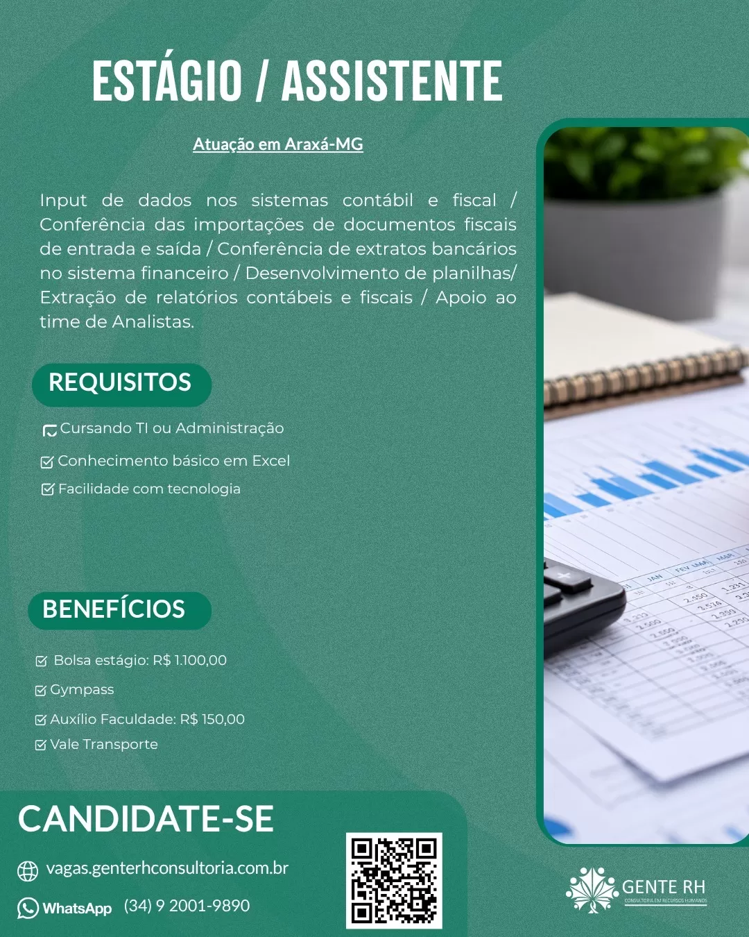 ESTÁGIO / ASSISTENTE