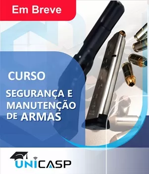 Segurança e Manutenção de Armas