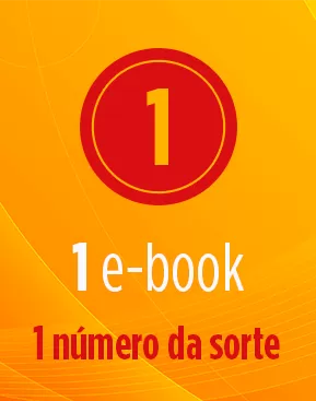 1 E-Book